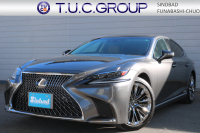 LSハイブリッド