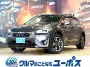 XV
