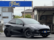 モデルY